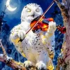 White Owl Playing Violin Paint By Numbers