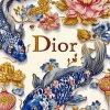 Dior Koi Fish Paint By Numbers