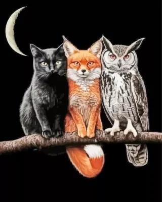 The Cool Trio Paint By Numbers
