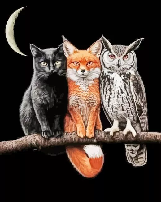 The Cool Trio Paint By Numbers