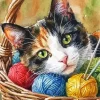 Adorable Cat Paint By Numbers
