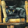 Black Cat Paint By Numbers