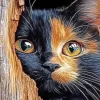 Golden Black Cat Paint By Numbers